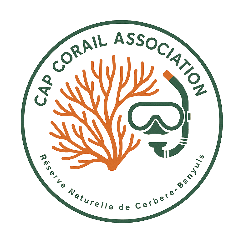 Logo Cap Corail Association - Protection des récifs coralliens méditerranéens